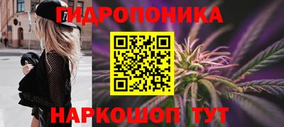 сатива Краснокаменск