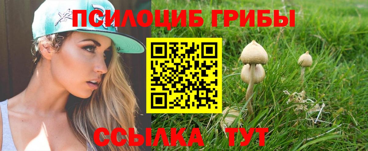 Псилоцибиновые грибы Cubensis Коломна
