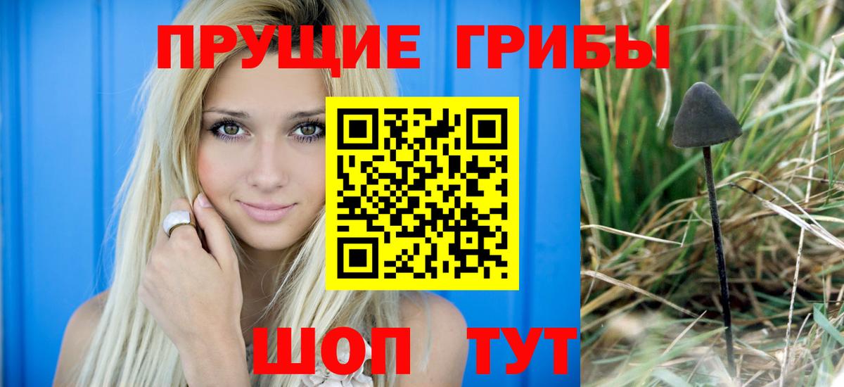 Псилоцибиновые грибы прущие грибы  Вход с VPN  Коломна  Псилоцибиновые грибы мухоморы 